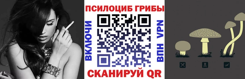 Купить  Оренбург  Псилоцибиновые грибы Magic Shrooms 