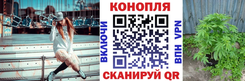 Купить закладки  Оренбург  Конопля ГИДРОПОН 